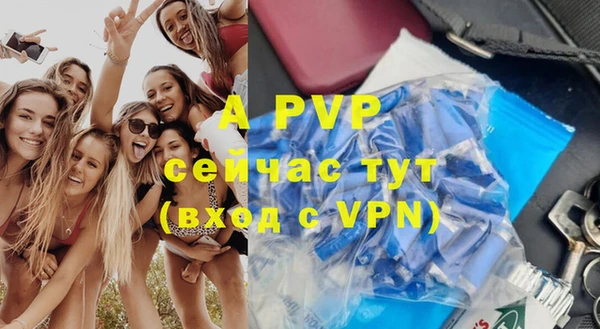 apvp Алзамай
