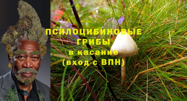 apvp Алзамай