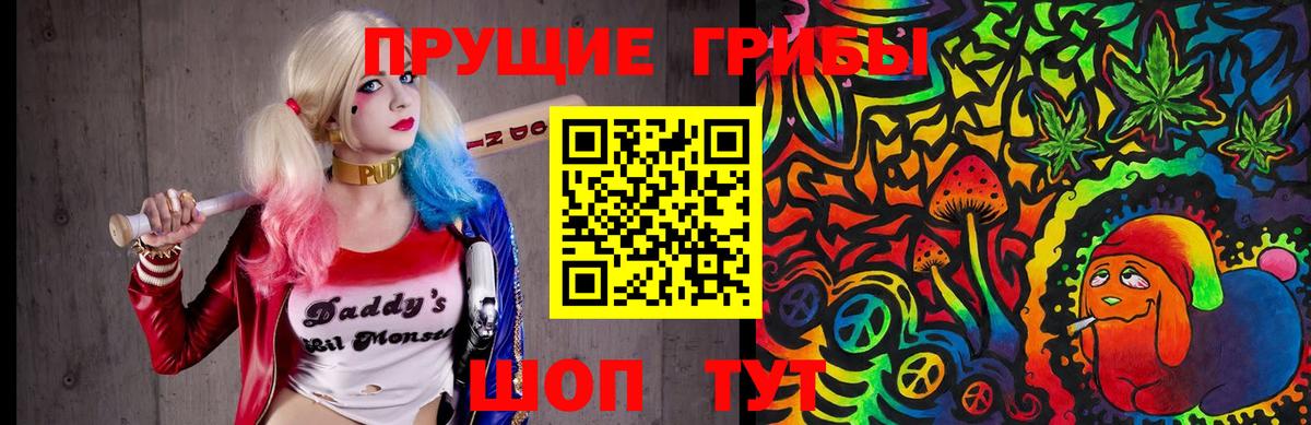 Псилоцибиновые грибы GOLDEN TEACHER Красноуфимск